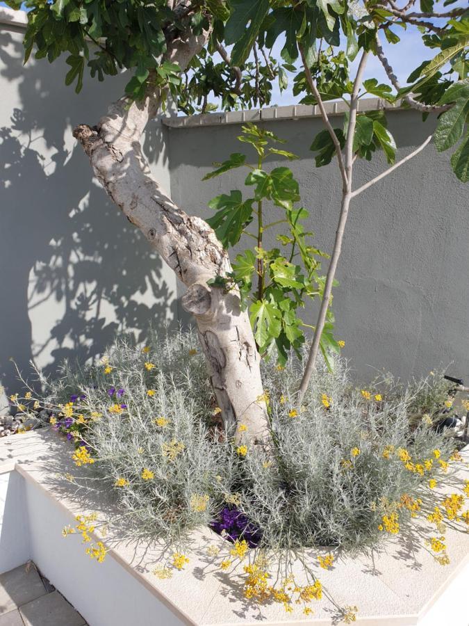 Flores Villa Kavran